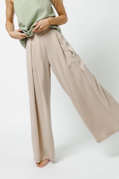 Women Stylish Taupe Bohme Pants Katie Wide Leg Tencel Pants In Taupe